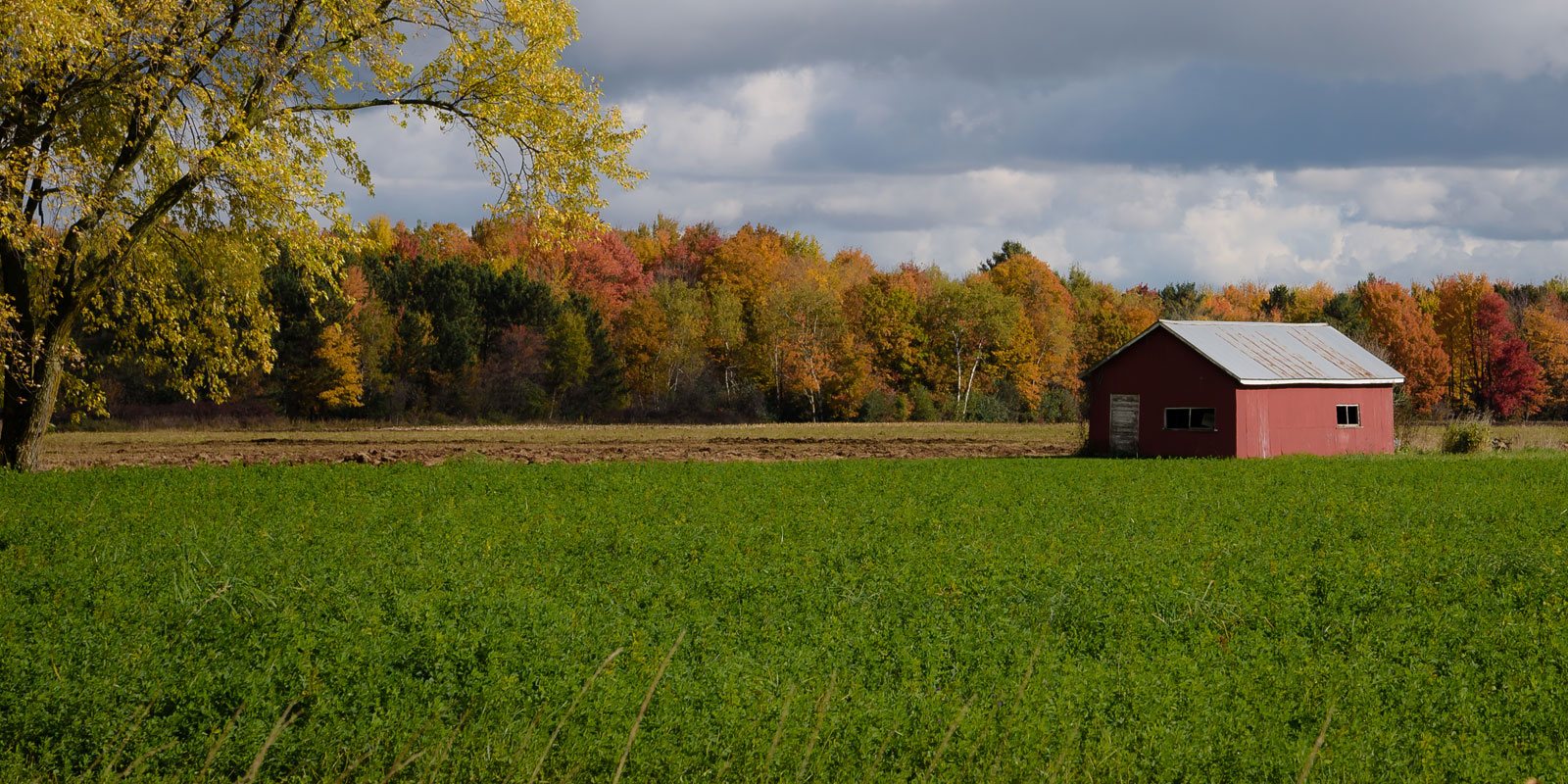 Natural landscape in Wisconsin