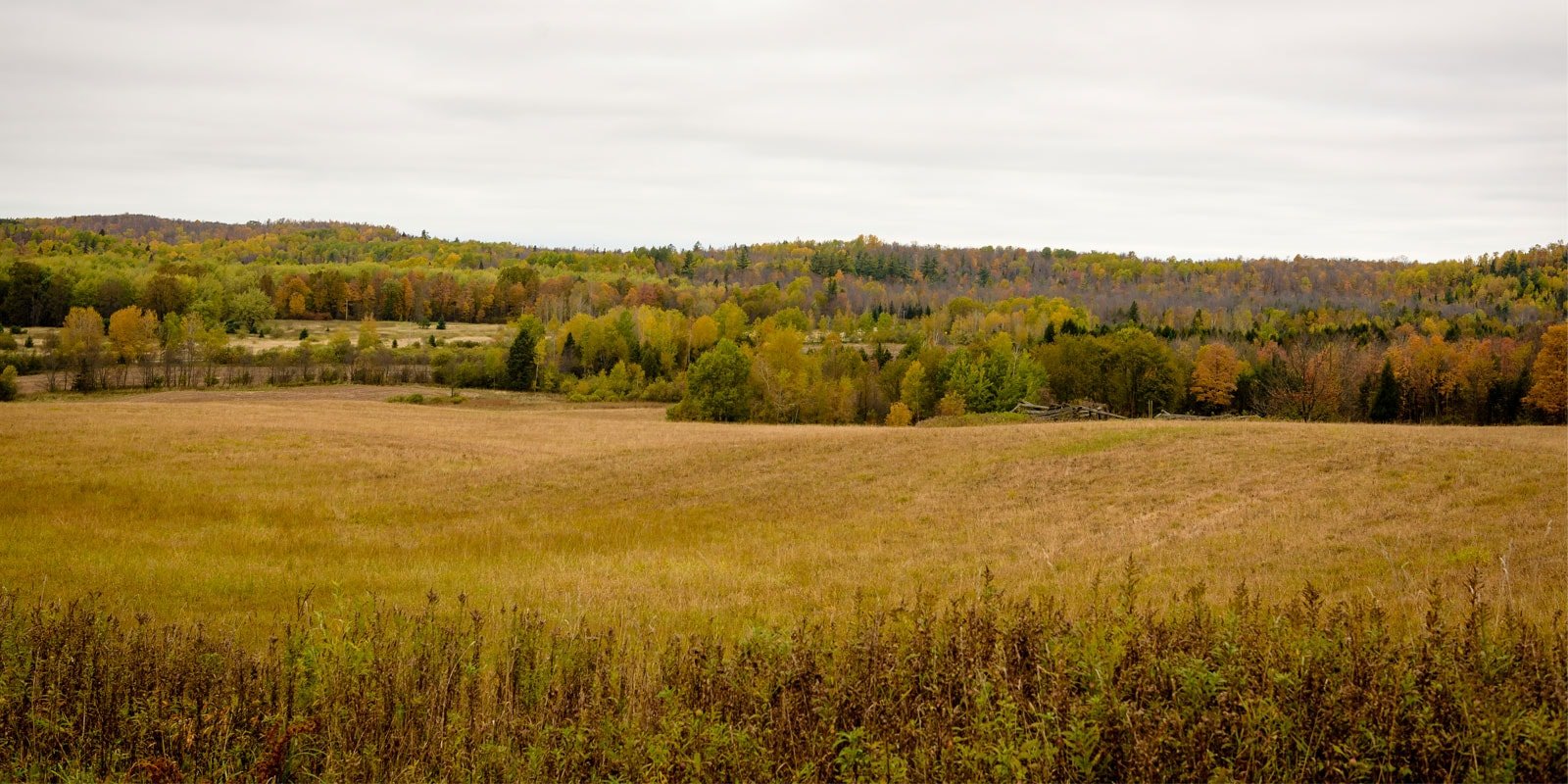 Natural landscape at Northern Wisconsin