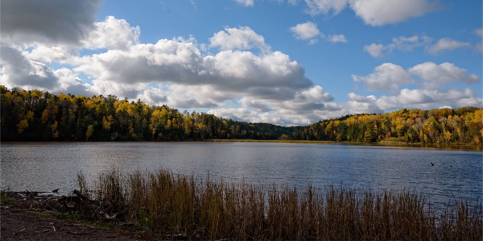 Natural landscape in Wisconsin